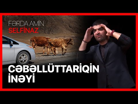 Fərda Amin — Cəbəllüttariqin İnəyi | SELFİNAZ