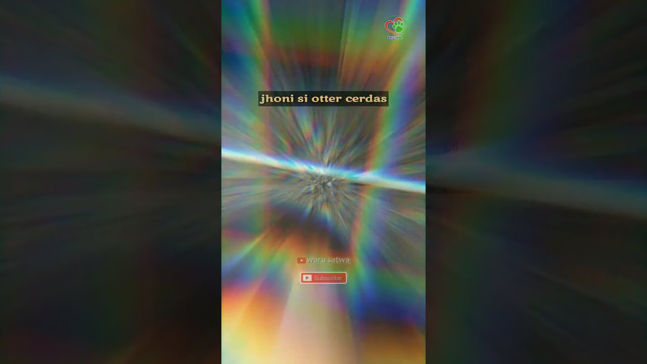 OTTER HEWAN YANG CERDAS DAN LUCU 