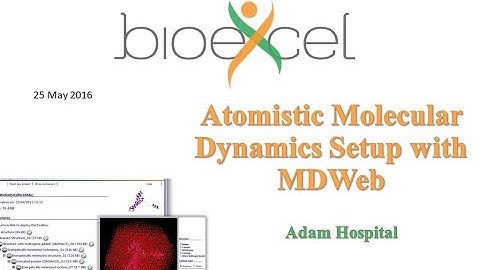 BioExcel Webinar Series #3: Atomistic Molecular Dynamics Setup with MDWeb