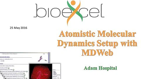 BioExcel Webinar Series #3: Atomistic Molecular Dynamics Setup with MDWeb