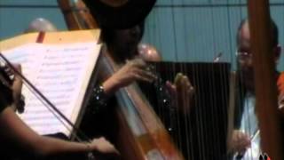 Orquesta Sinfónica De Maracaibo Junto A La Arpista Shaamy Ruiz - Parte 1