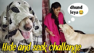 Hide🤫 & Seek Challange😂 with my dog labrador | dog funny video | dog can talk by At Mix Vlogs 184 views 2 months ago 4 minutes, 53 seconds