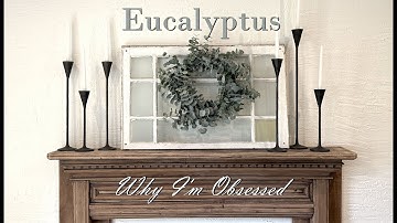 Eucalyptus - Why I