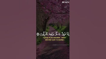 #ارح قلبك وروحك وسمعك بآيات من الذكر الحكيم #اكسبلور #قرأن كريم #راحة نفسية
