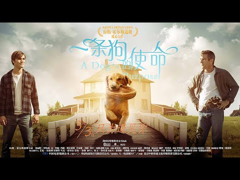 《一條狗的使命》小狗經歷四生四世，只為尋找第一世的主人