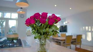 Langganan Bunga Dengan Serenata Flowers