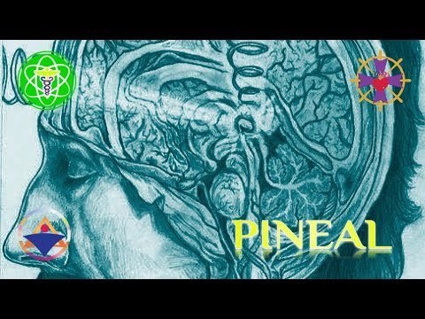 audiolibro il piccolo principe EXISTENCIA Y GLÁNDULA PINEAL- Consciencia de Sí Mismo