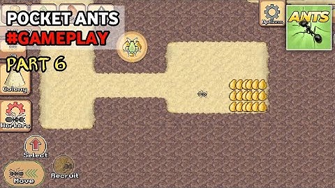 Pocket Ants - Gameplay (Android, iOS) #Part6