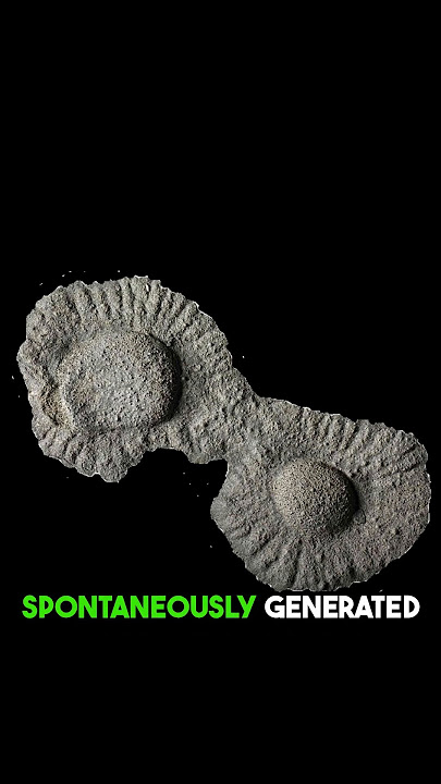 Oklo Reactor: Earth's 2-Billion-Year Secret! | Nextnow