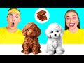 チョコレートの食べ物 vs 本物の食べ物のチャレンジ | 面白いフードハック BaRaDa Gold Challenge