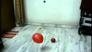 Bouncing Ball Reference.mov