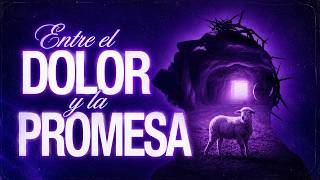 Entre el dolor y la promesa - Amy Bermúdez