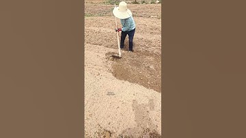 The process of soil preparation in cultivated land