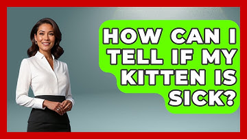 How Can I Tell If My Kitten Is Sick? | Ask A Pet Vet