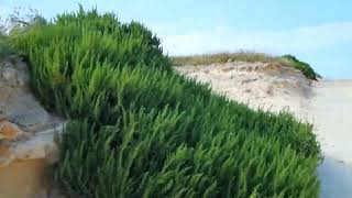 Exploring Hidden Gem of Countryside Malta | Gozo