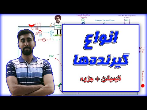 سیگنالینگ تمام گیرنده ها در بدن اندوکرینولوژی بیوشیمی و فیزیولوژی هورمون ها