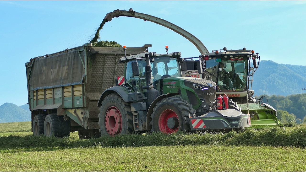 Силосование в гору с Claas Jaguar 980, Fendt, Новая Голландия, Case IH [Уборка посева люцерны] 2024