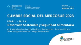 Cumbre Social del Mercosur | Panel 1 - Sala A | Desarrollo Sostenible y Seguridad alimentaria