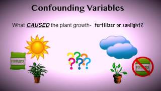 Confounding Variables