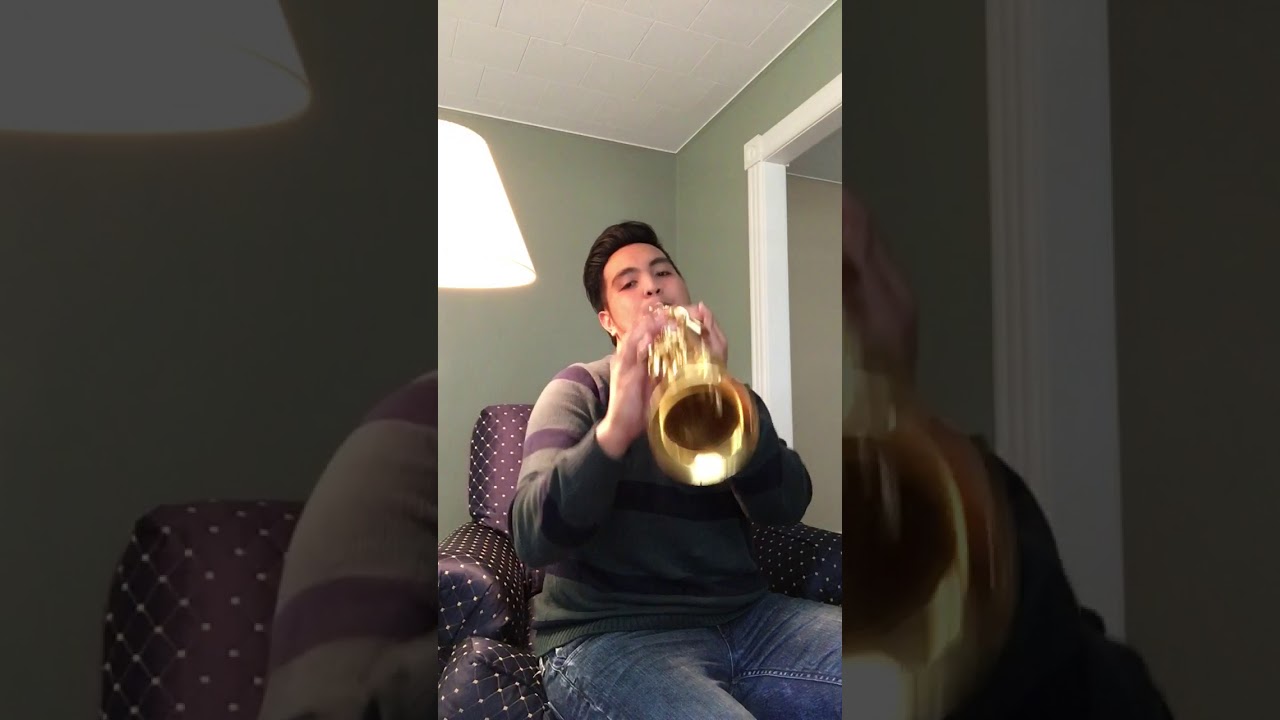 "Despacito" Sax Version by DrSax