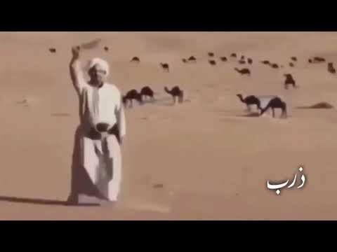 وديني حدود الاردن عود