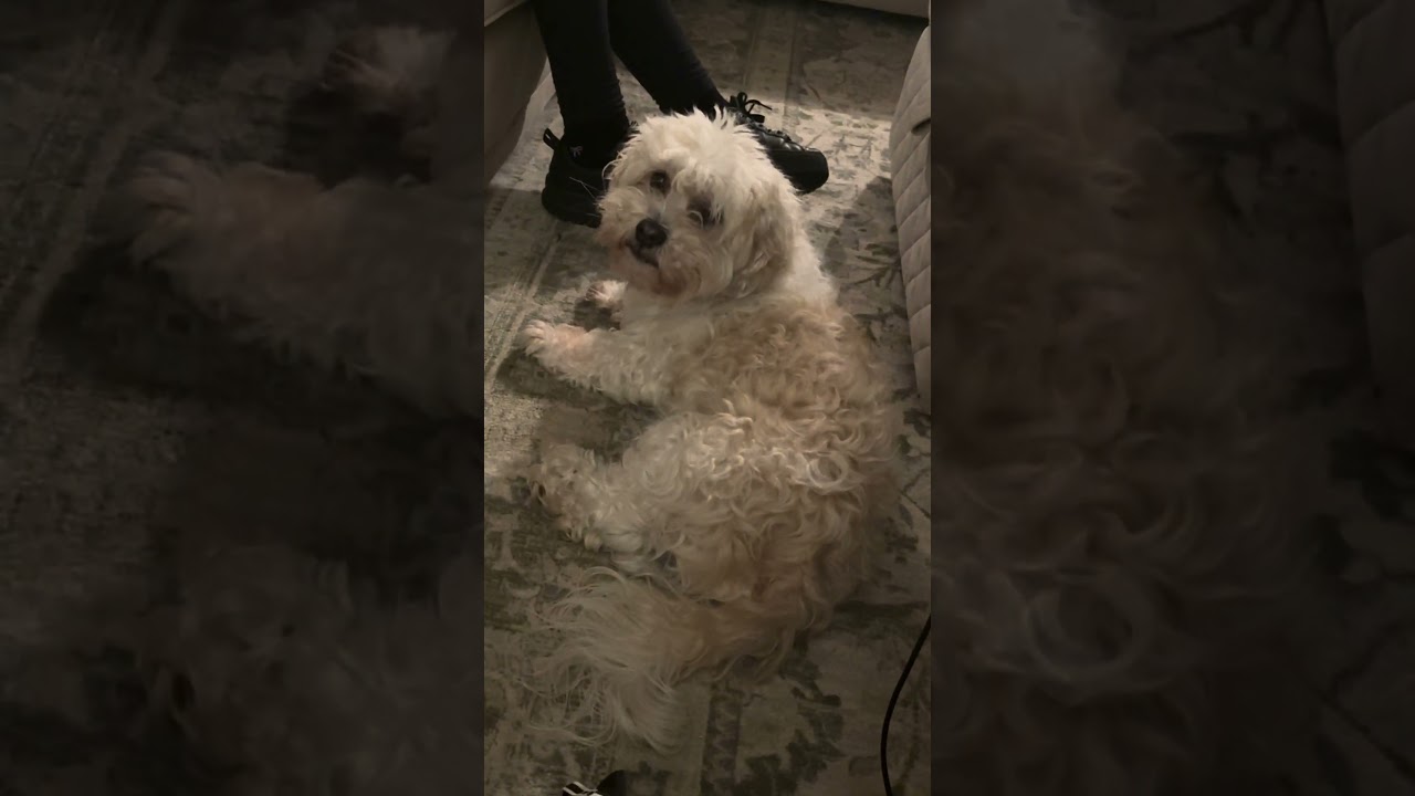 Спасибо, Берни!