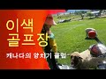 양들과의 하루-Sheep Pasture Golf Course in Canada