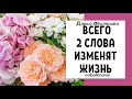 Как навсегда изменить свою жизнь к лучшему. Практика два слова, код удачи