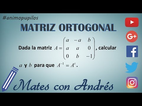 Matriz inversa igual a su traspuesta. Matriz ortogonal