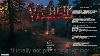 Valheim: Deleting my Save Files Any%