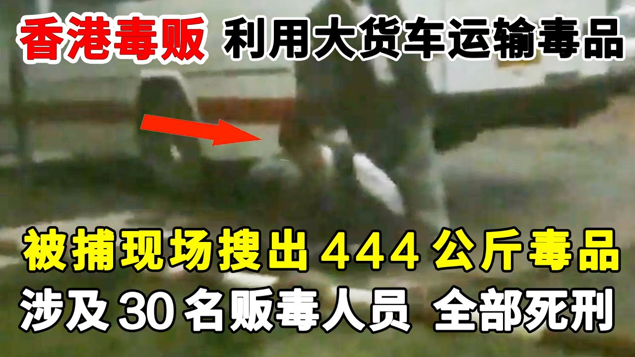 香港特大贩毒案，香港毒贩利用大货车运输毒品进入广州，在酒店休息时被抓，当场搜出444公斤毒品，涉及30名贩毒人员，全部死刑！#案件纪实#贩毒【警视】
