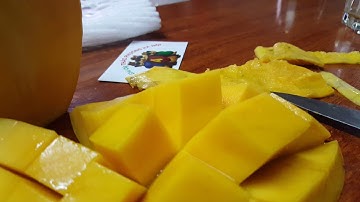 Xoài cát chu Thảo Phương - ngon bổ rẻ đẹp nhất vịnh bắc bộ