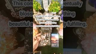 LOVE LIFE ASCENDING ✨ #shorts #tarot #nocontactreading #currentfeelings #tarotlovereading #tarotlove