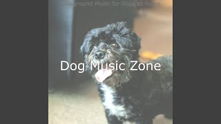 Simple Backdrops for Reducing Dogs Stress
