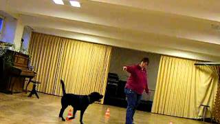DSCF0655.AVI