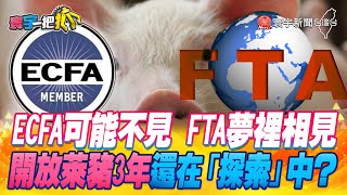 【#寰宇一把抓】P2 ECFA可能不見 FTA夢裡相見 開放萊豬3年還在「探索」中? 20230421|@globalnewstw