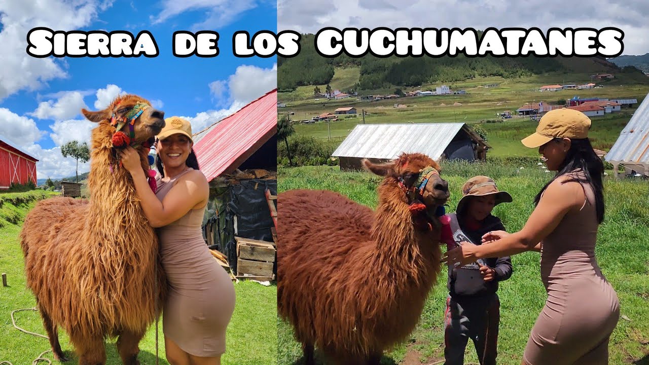 Viajando a CHIAPAS MÉXICO  Por Tierra // Toda Mi Historia 😔