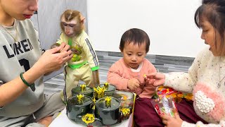 Monkey Kaka and Diem enjoy candies in preparation for Tet