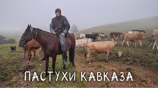 Shepherds in the Caucasus Mountains. We went to the backwoods.