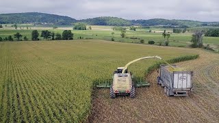 Cabot's Pledge to Sustainability