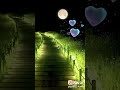 سنة الحياة حالات واتس mp3