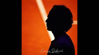 Roland-Garros: rencontre avec Corinne Dubreuil, l'œil du tennis, 30 ans au bord du court