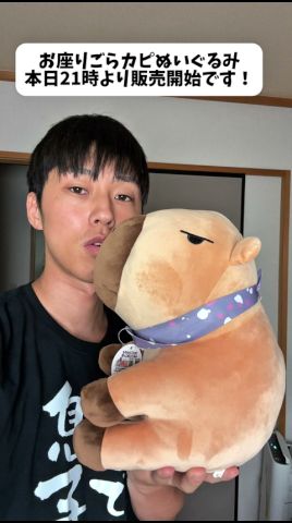 ごらカピお座りぬいぐるみの販売開始について