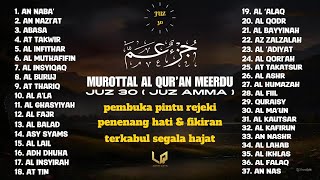 Juz 30 (Juz Amma) جزء عم | Relaxing heart touching soft voice | Best Recitation l By Alaa Aqel screenshot 4