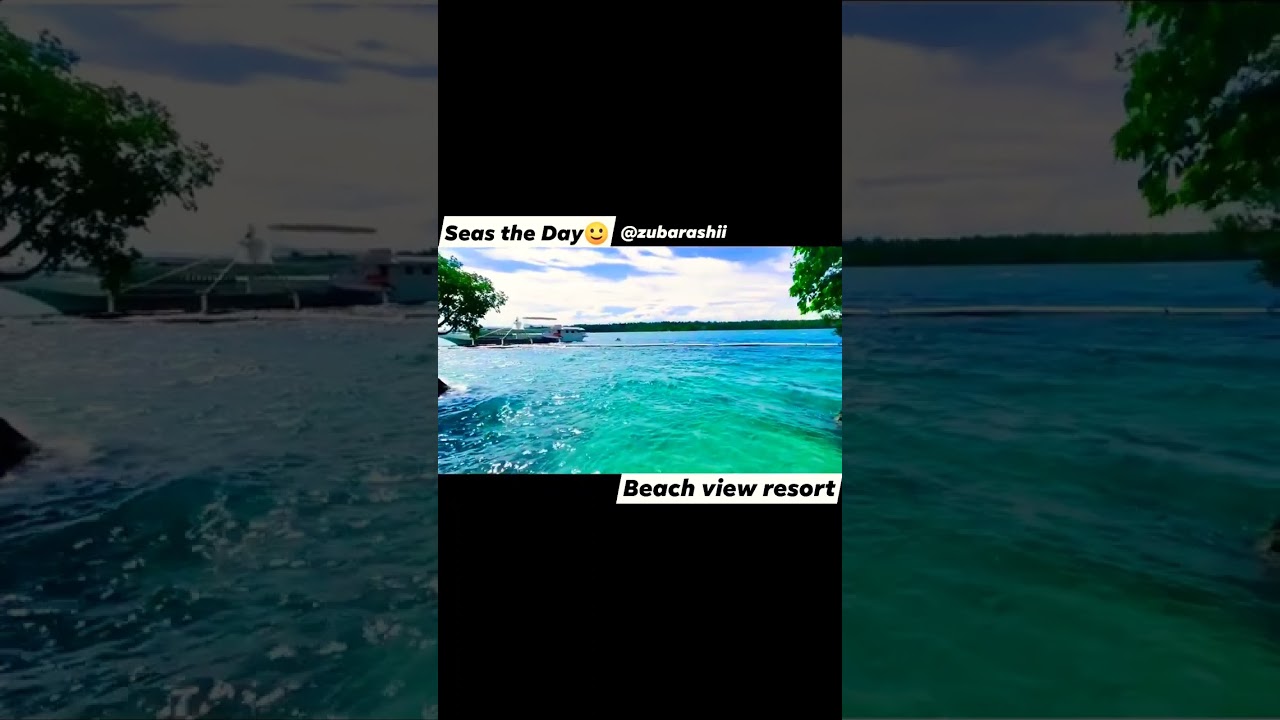Seas the Day 🏊 (Beach View Resort) 