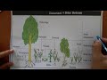 مجانا La Sortie écologique Sciences De La Vie Et De La Terre SVT TCS BIOF Partie 1 Continuité mp3 La Sortie écologique Sciences De La Vie Et De La Terre SVT TCS BIOF Partie 1 Continuité mp3