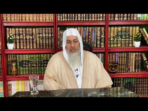 صحة حديث إن الهر من متاع البيت لن يقذر شيئا ولن ينجسه الشيخ مصطفى العدوي