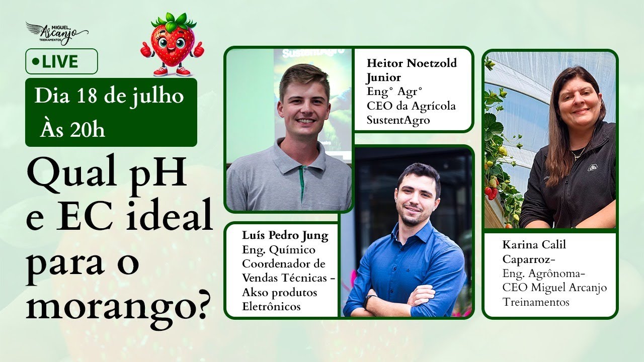 Qual o pH e EC ideal para o morango?