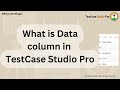What is Data column in TestCase Studio Pro?
