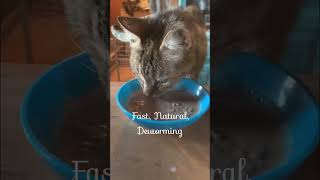 How to deworm cats naturally with good old food grade diatomaceous earth? How to deworm cats naturally with good old food grade diatomaceous earth?